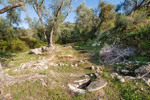 Αρχαιολογικός χώρος (Μαγαζιά)